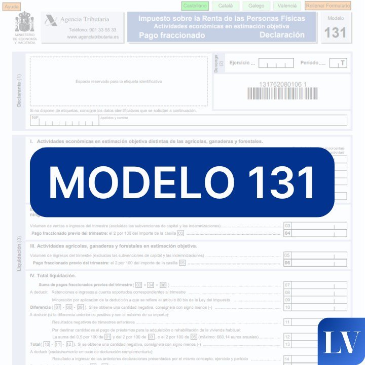 Modelo 131